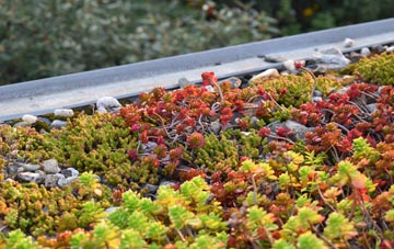 the cost of Pevensey Bay green roof installation