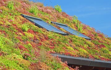 Pevensey Bay living roof systems
