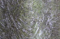 Pevensey Bay fibreglass roof work